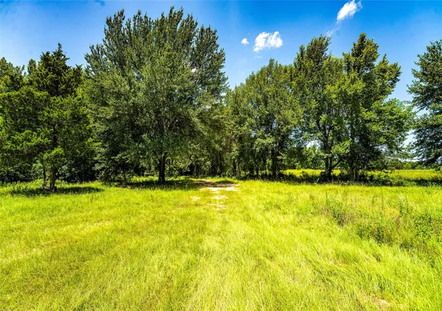 Photo 3 of Land for sale at Tbd Cr 357, Gause, TX 77857 | MLS# 24488646 | Listing updated on 2026-07-31