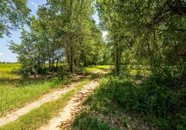 Photo 4 of Land for sale at Tbd Cr 357, Gause, TX 77857 | MLS# 24488646 | Listing updated on 2026-07-31