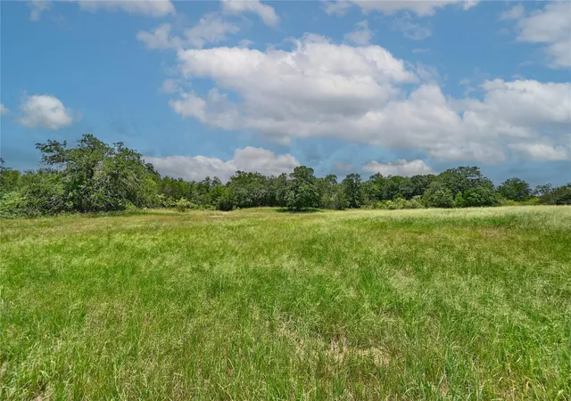3rd image of 159 Starlight Path, Red Rock, TX 78662 | MLS# 37750644
