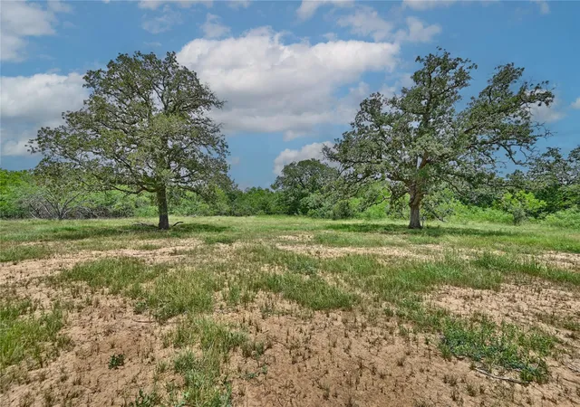 4th image of 159 Starlight Path, Red Rock, TX 78662 | MLS# 37750644