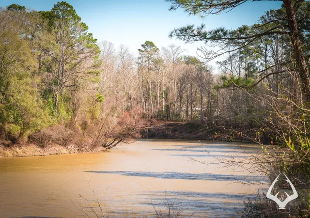 Photo 1 of Land for sale at 00 00 Recreational Road 255, Colmesneil, TX 75938 | MLS# 75239248 | Listing updated on 2026-08-29