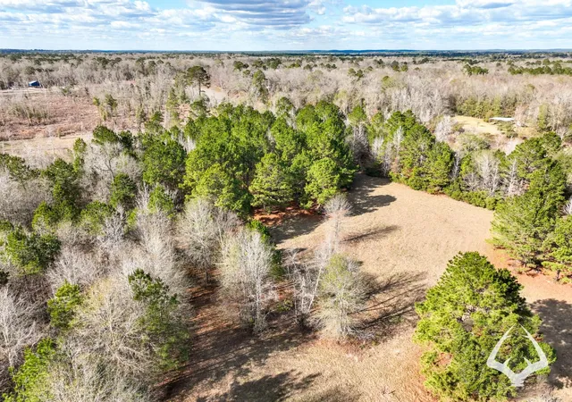 Photo 3 of Land for sale at 00 00 Recreational Road 255, Colmesneil, TX 75938 | MLS# 75239248 | Listing updated on 2026-08-29
