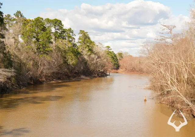 Photo 3 of Land for sale at 00 00 Recreational Road 255, Colmesneil, TX 75938 | MLS# 75239248 | Listing updated on 2026-08-29