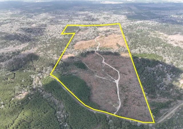 1st image of 0 County Road 37, Jasper, TX 75951 | MLS# 25203722