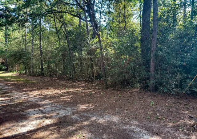 2nd image of 230 Private Road 8305, Woodville, TX 75979 | MLS# 87002453