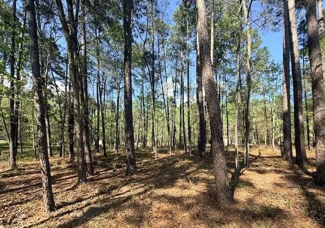 Photo 2 of Land for sale at 141 Wentworth Ln, Coldspring, TX 77331 | MLS# 10490039 | Listing updated on 2026-08-17