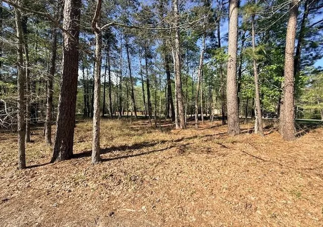 Photo 3 of Land for sale at 141 Wentworth Ln, Coldspring, TX 77331 | MLS# 10490039 | Listing updated on 2026-08-17
