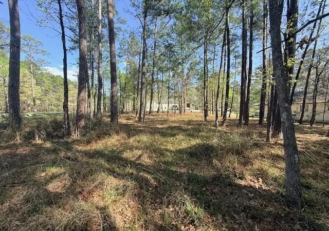 Photo 4 of Land for sale at 141 Wentworth Ln, Coldspring, TX 77331 | MLS# 10490039 | Listing updated on 2026-08-17