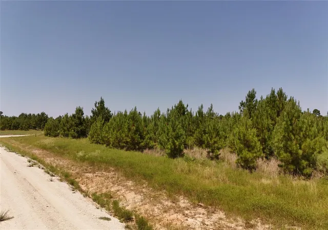 Homes for sale in Lovelady, TX | Tract 100 Robertson Rd, Lovelady, TX 75851 | MLS# 39781586