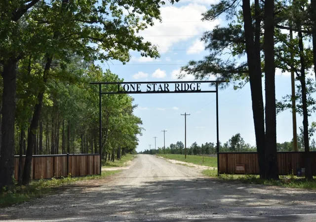 Homes for sale in Lovelady, TX | Tract 100 Robertson Rd, Lovelady, TX 75851 | MLS# 39781586