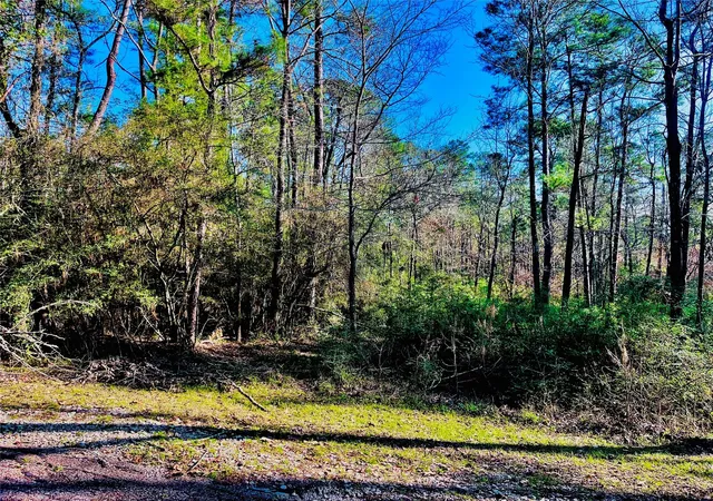 Photo 2 of Land for sale at 23 Wentworth Ln, Coldspring, TX 77331 | MLS# 46946364 | Listing updated on 2026-08-14