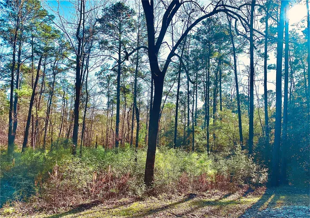 Photo 2 of Land for sale at 23 Wentworth Ln, Coldspring, TX 77331 | MLS# 46946364 | Listing updated on 2026-08-14