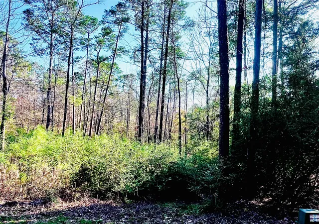 Photo 3 of Land for sale at 23 Wentworth Ln, Coldspring, TX 77331 | MLS# 46946364 | Listing updated on 2026-08-14