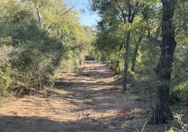 1st image of Tbd Sweed Rd, Washington, TX 77880 | MLS# 72485689