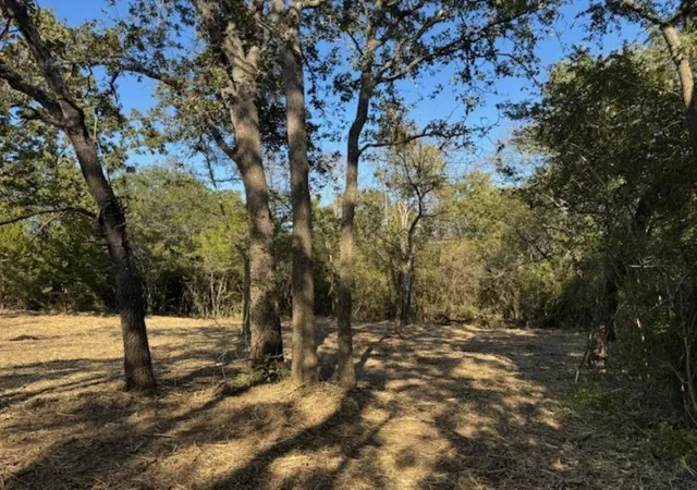 25th image of Tbd Sweed Rd, Washington, TX 77880 | MLS# 72485689