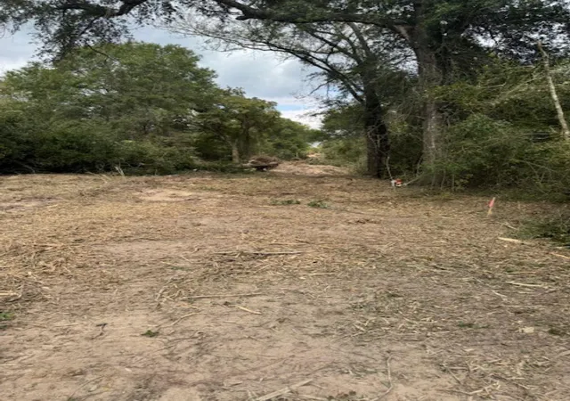 2nd image of Tbd Sweed Rd, Washington, TX 77880 | MLS# 72485689