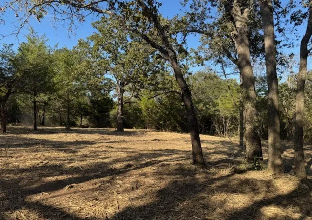 3rd image of Tbd Sweed Rd, Washington, TX 77880 | MLS# 72485689