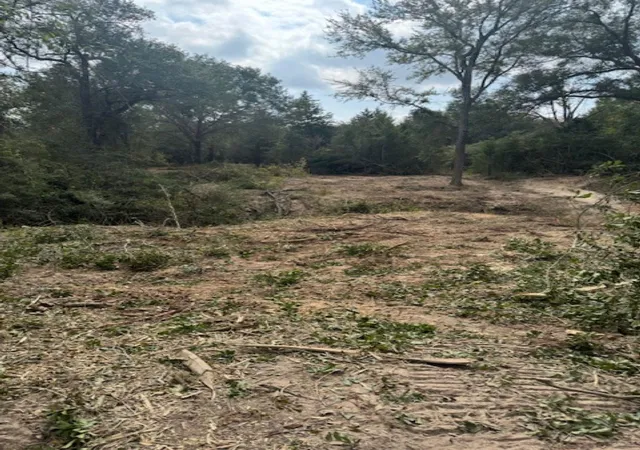 4th image of Tbd Sweed Rd, Washington, TX 77880 | MLS# 72485689