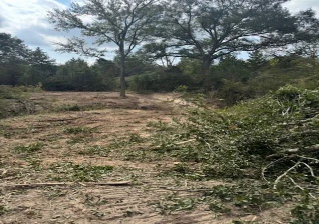 5th image of Tbd Sweed Rd, Washington, TX 77880 | MLS# 72485689
