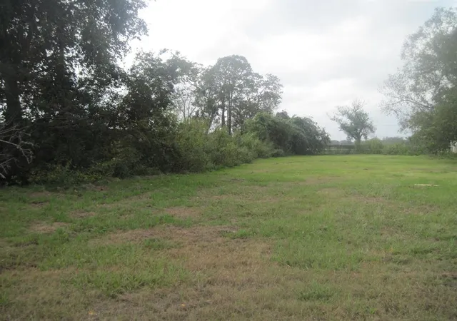 Photo 1 of Land for sale at 0 Highway 36, Brazoria, TX 77422 | MLS# 18961104 | Listing updated on 2026-01-30