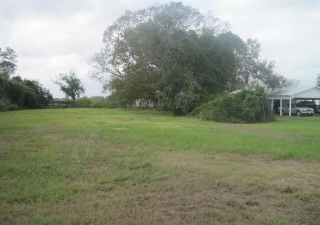 Photo 2 of Land for sale at 0 Highway 36, Brazoria, TX 77422 | MLS# 18961104 | Listing updated on 2026-01-30