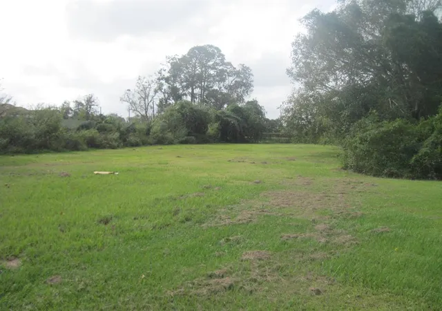 Photo 4 of Land for sale at 0 Highway 36, Brazoria, TX 77422 | MLS# 18961104 | Listing updated on 2026-01-30