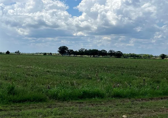 Photo 3 of Land for sale at 000 Fm 1468, Markham, TX 77456 | MLS# 60118972 | Listing updated on 2026-08-05