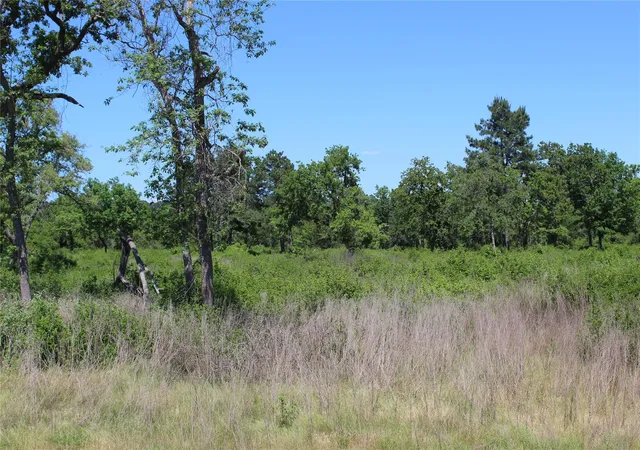 4th image of Tr 53 Pr 1315 Rd, Centerville, TX 75833 | MLS# 76297539