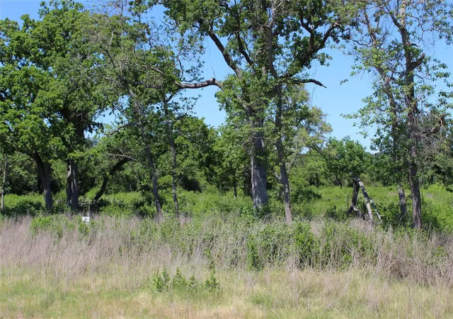 5th image of Tr 53 Pr 1315 Rd, Centerville, TX 75833 | MLS# 76297539