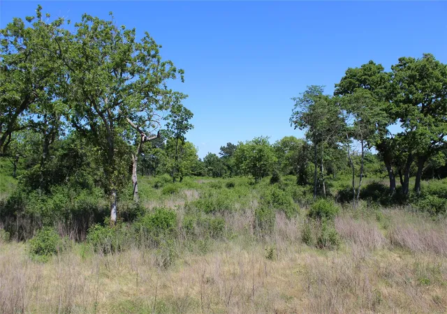 8th image of Tr 53 Pr 1315 Rd, Centerville, TX 75833 | MLS# 76297539