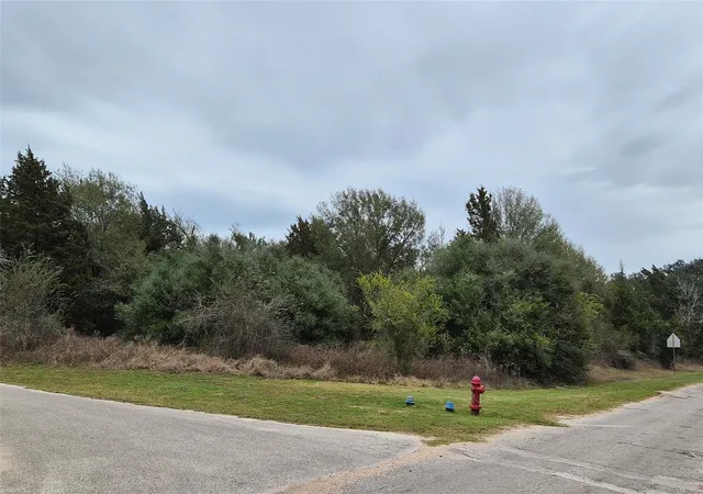 1st image of Lots 1 10 Shepard, Hempstead, TX 77445 | MLS# 27089000