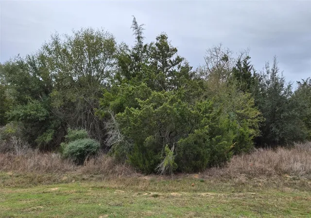 2nd image of Lots 1 10 Shepard, Hempstead, TX 77445 | MLS# 27089000
