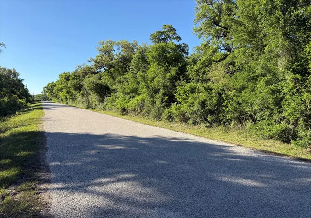 5th image of 15563 Tax Id Ramblewood County Road 281 Road, Sargent, TX 77414 | MLS# 14872946