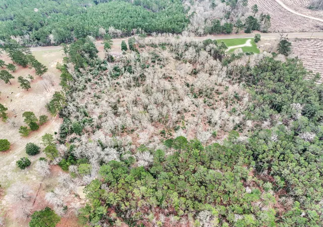 Photo 3 of Land for sale at Tbd Cr 1022, Newton, TX 75966 | MLS# 27453009 | Listing updated on 2026-07-09