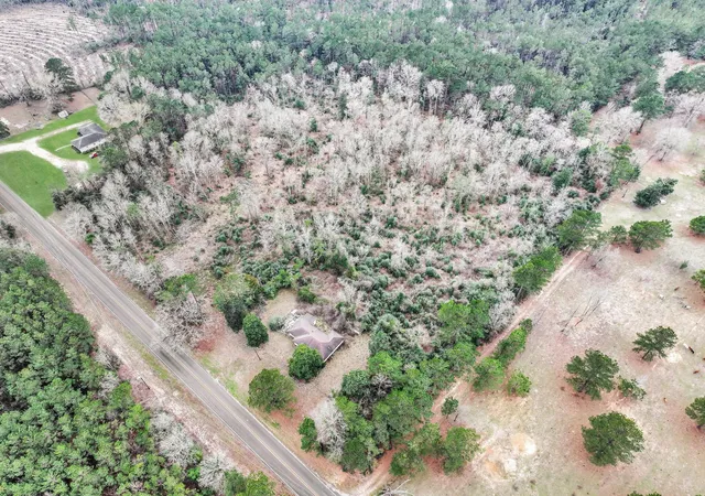 Photo 4 of Land for sale at Tbd Cr 1022, Newton, TX 75966 | MLS# 27453009 | Listing updated on 2026-07-09