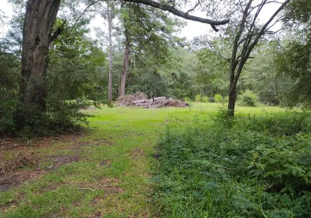 Homes for sale in Kirbyville, TX | 1806 S Elizabeth Ave, Kirbyville, TX 75956 | MLS# 4037923