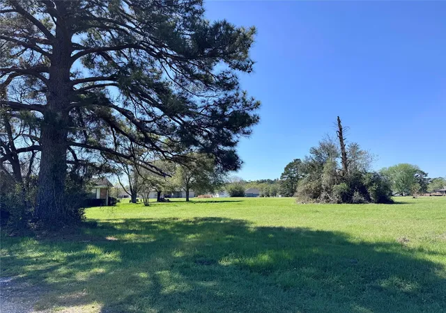 Photo 1 of Land for sale at 12 Meadow Lake Dr, Trinity, TX 75862 | MLS# 10070880 | Listing updated on 2026-03-14