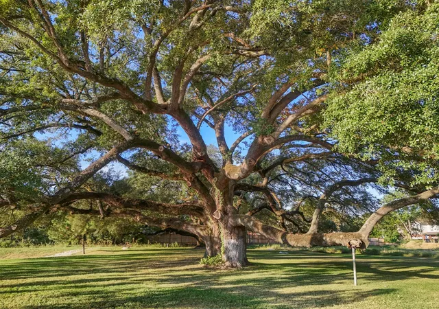 1st image of 21803 Red Oak View Court, Tomball, TX 77375 | MLS# 38159786