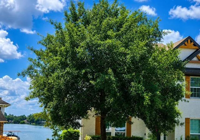 Photo 4 of Land for sale at 12367 Pebble View Dr, Conroe, TX 77304 | MLS# 23897180 | Listing updated on 2026-07-18