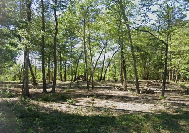 3rd image of 000 Sherwood Dr, Shepherd, TX 77371 | MLS# 10418848