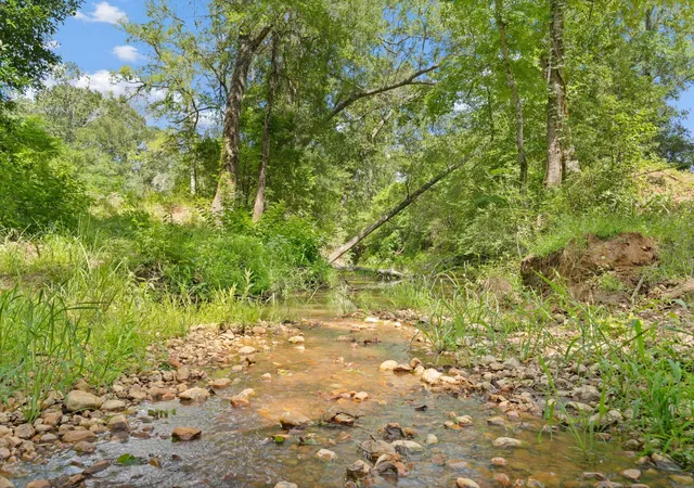 Photo 3 of Land for sale at Tbd (tracts 11 & 12) St Delight Rd, Paige, TX 78659 | MLS# 64359052 | Listing updated on 2026-08-27
