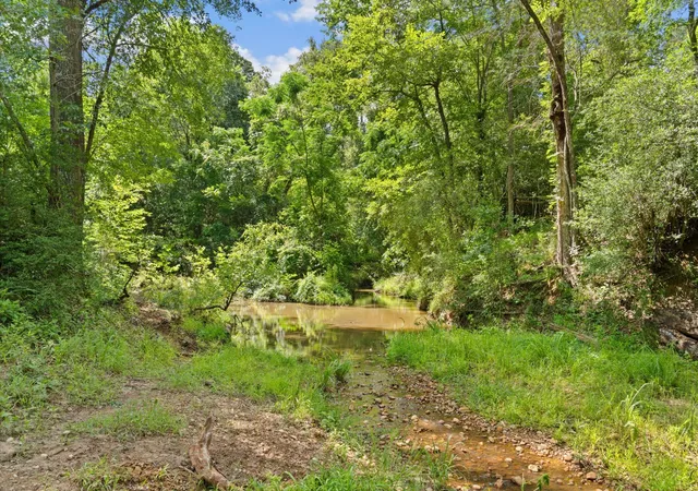 Photo 3 of Land for sale at Tbd (tracts 11 & 12) St Delight Rd, Paige, TX 78659 | MLS# 64359052 | Listing updated on 2026-08-27