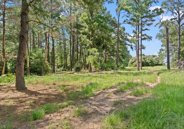Photo 4 of Land for sale at Tbd (tracts 11 & 12) St Delight Rd, Paige, TX 78659 | MLS# 64359052 | Listing updated on 2026-08-27
