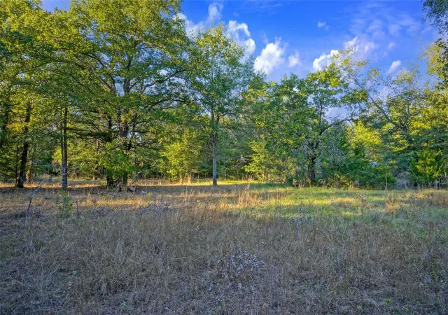 Homes for sale in Teague, TX | 5 Acres Fcr 930, Teague, TX 75860 | MLS# 27499921