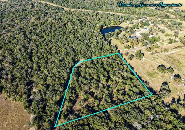 Homes for sale in Teague, TX | 5 Acres Fcr 930, Teague, TX 75860 | MLS# 27499921