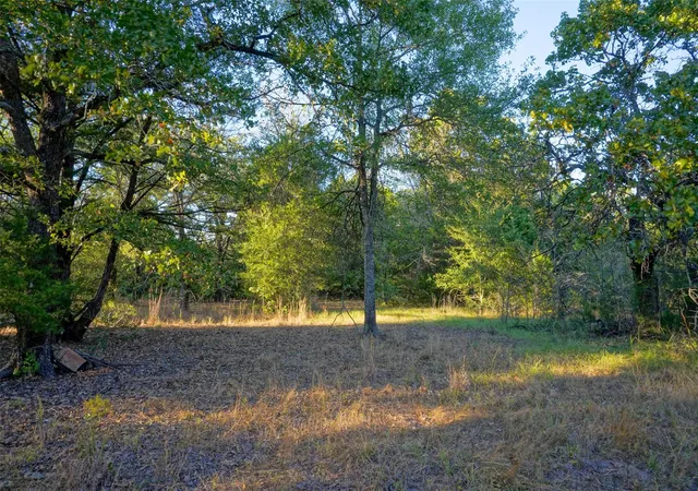 Homes for sale in Teague, TX | 5 Acres Fcr 930, Teague, TX 75860 | MLS# 27499921