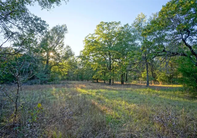 Homes for sale in Teague, TX | 5 Acres Fcr 930, Teague, TX 75860 | MLS# 27499921