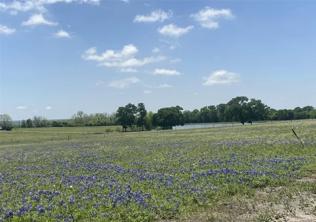 Photo 11 of Land for sale at 6049 Fm 3090 Rd, Anderson, TX 77830 | MLS# 42887220 | Listing updated on 2026-08-24
