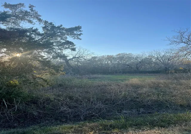 Photo 2 of Land for sale at 0 County Rd 428, Wharton, TX 77488 | MLS# 61616624 | Listing updated on 2026-01-25