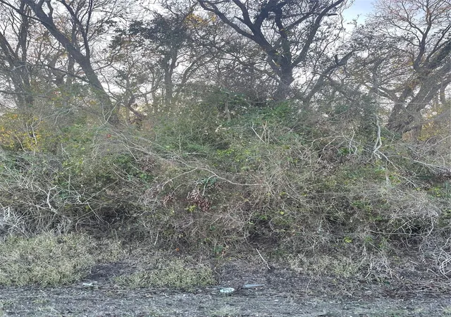 Photo 3 of Land for sale at 0 County Rd 428, Wharton, TX 77488 | MLS# 61616624 | Listing updated on 2026-01-25